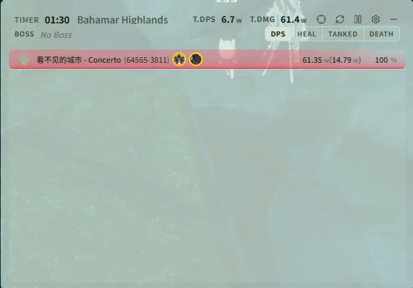 Live DPS window after configuration